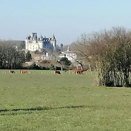 Apartment Le P'tit Chez Nous La Rochefoucauld
